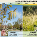 How Does HVAC Maintenance Help Reduce Allergy Season Symptoms?